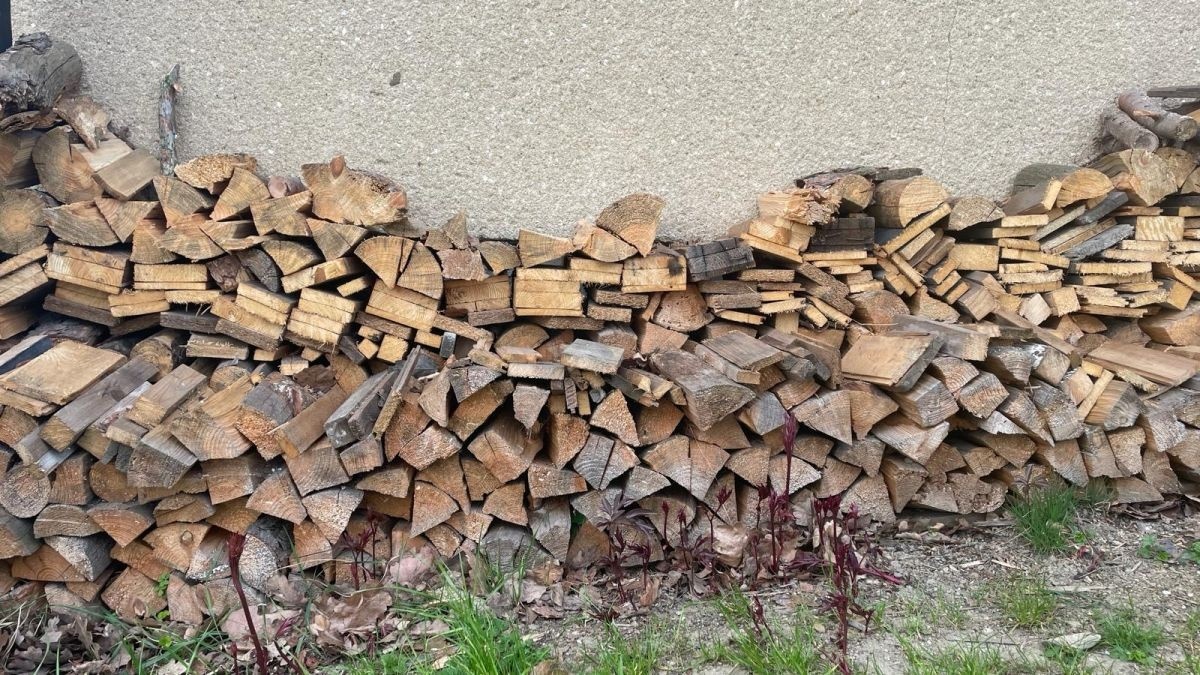 Kradli mu dřevo rok co rok