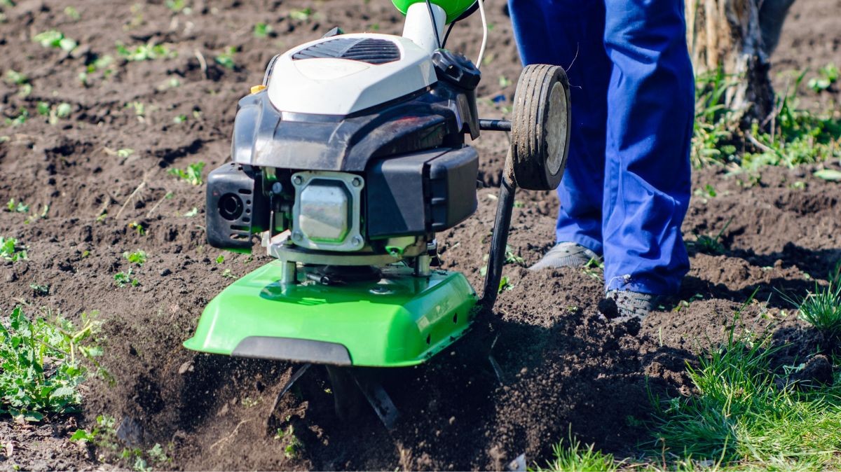 Co dělat na zahradě v dubnu?