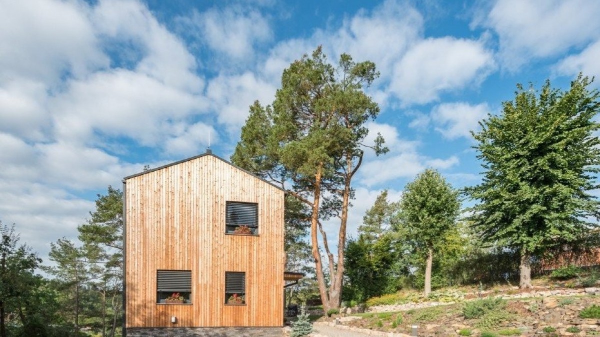 Za pokácení stromů na vlastním pozemku hrozí pokuta 100 000 