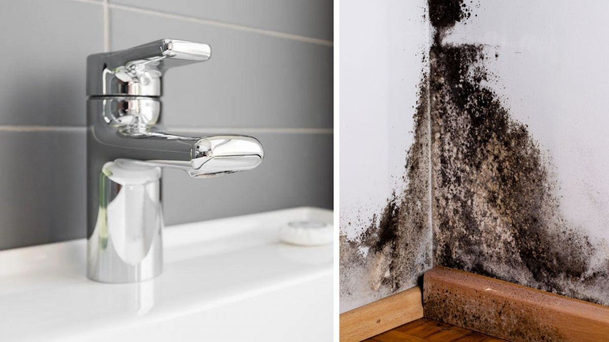 Plísně v koupelně
