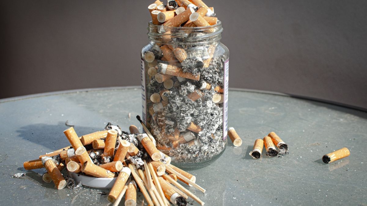 Zakázat nájemníkovi kouření ani chov zvířat majitel nesmí