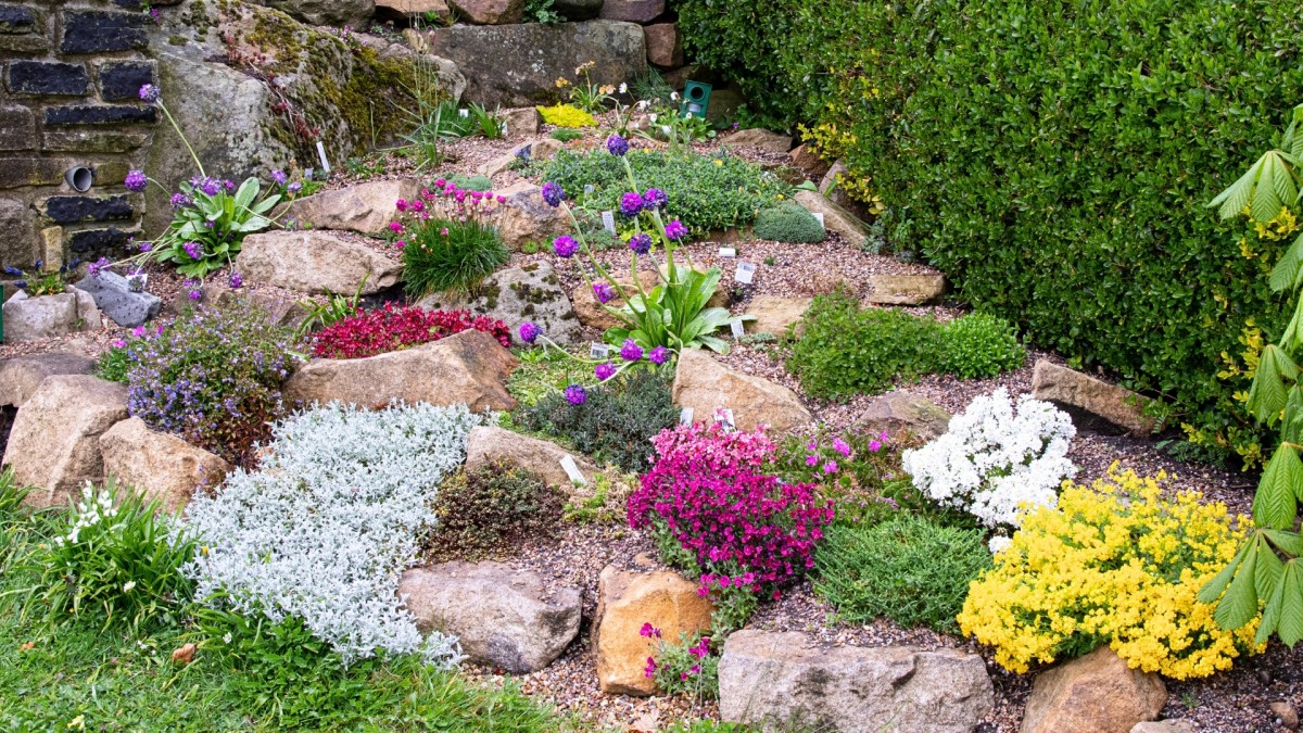 Jaké skalničky se hodí do polostínu a jaké na slunné místo? 