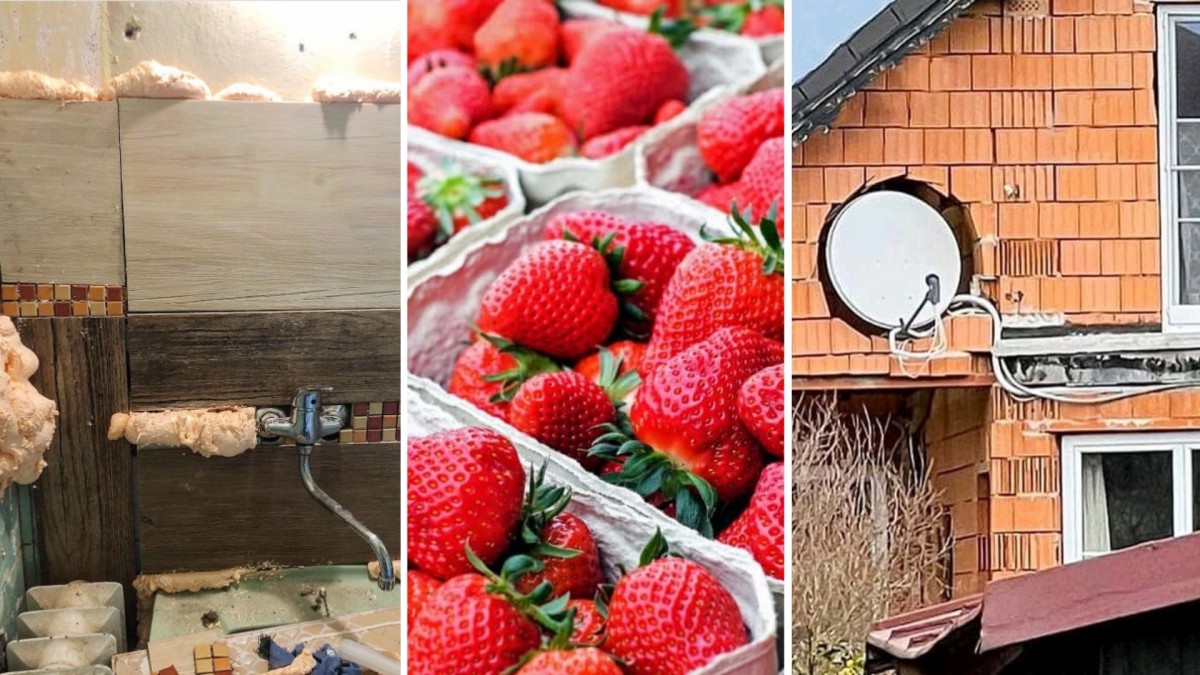 Přečtěte si nejzajímavější zářezy z minulého týdne