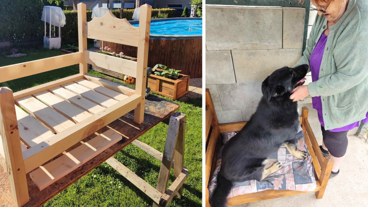 Proč by nemohl mít pes svoji vlastní postel? 