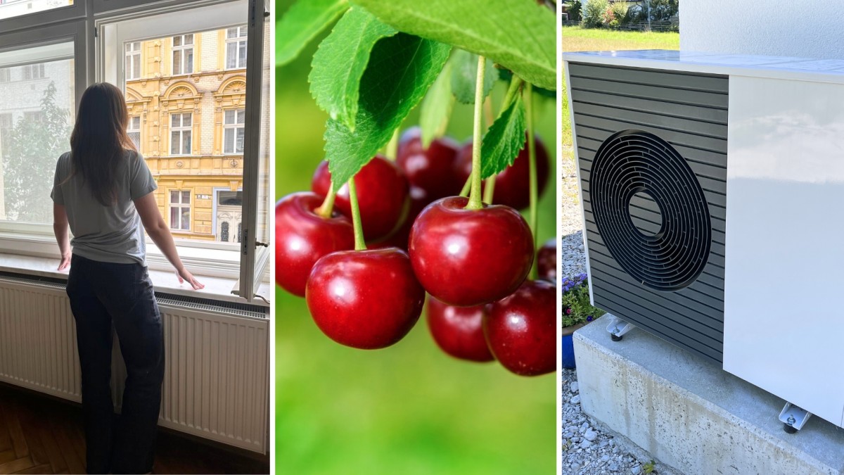 Připravili jsme pro vás to nejzajímavější z minulého týdne