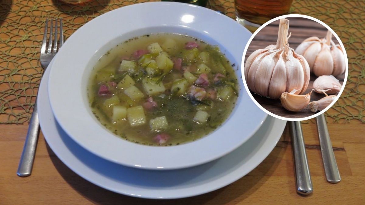 Samosběr česneku 2024