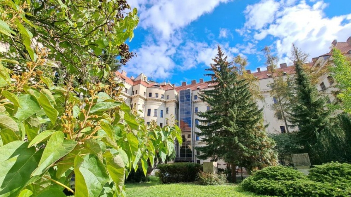 Studium dřevostaveb