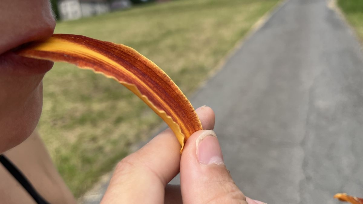 Květina, kterou můžete sníst