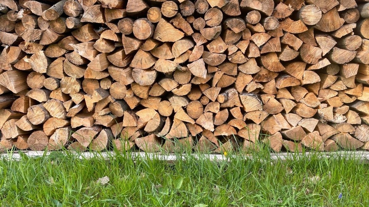 Dřevník za 80 tisíc korun