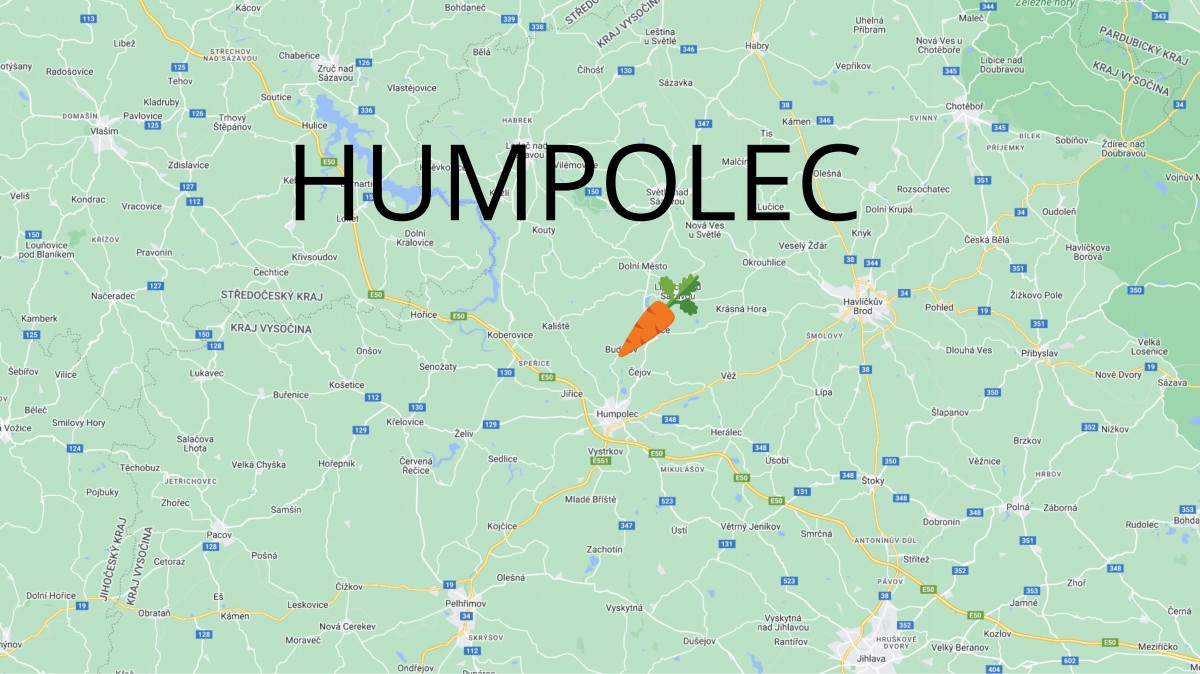 Samosběr zeleniny 2024