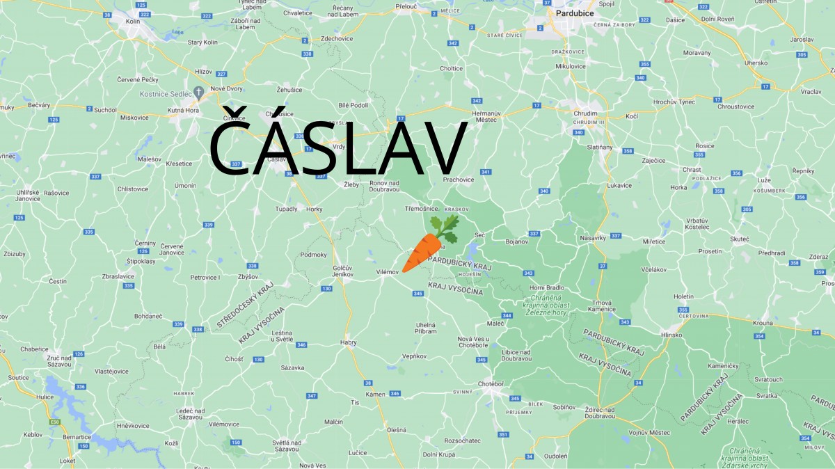 Samosběr zeleniny 2024