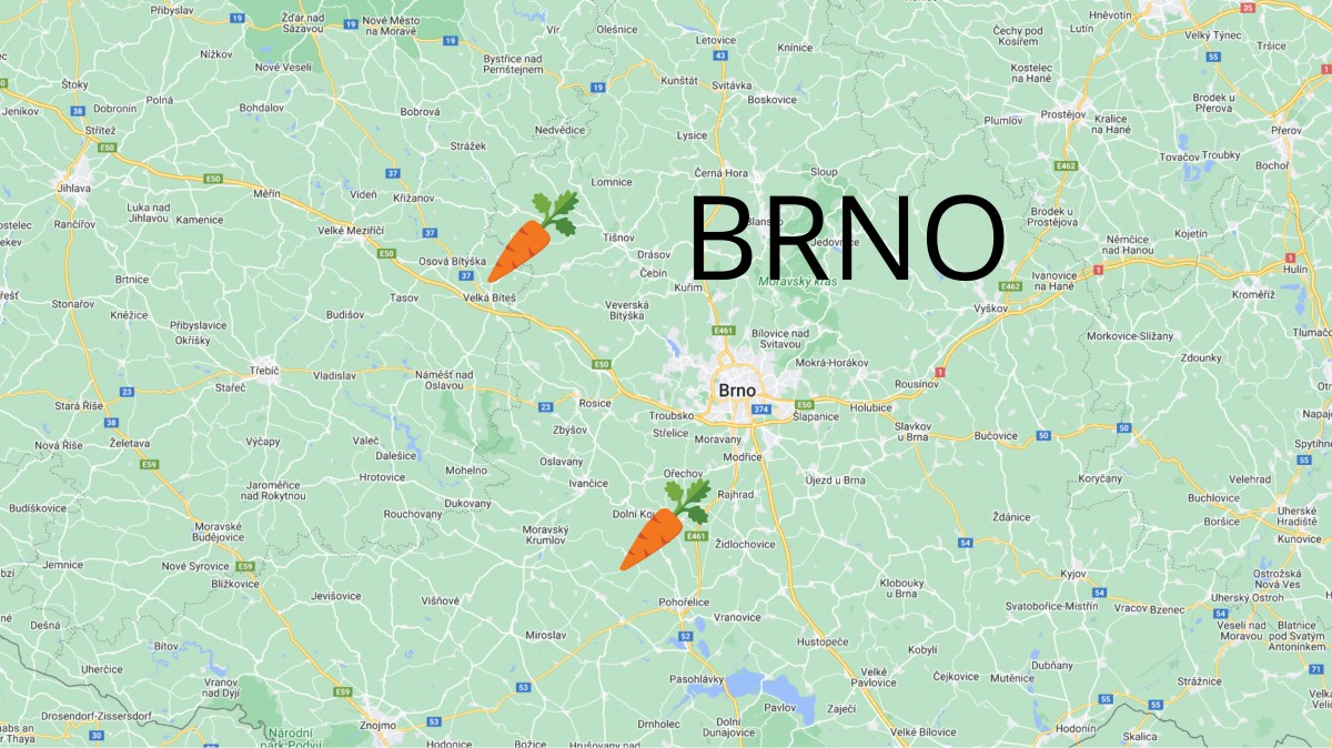Samosběr zeleniny 2024