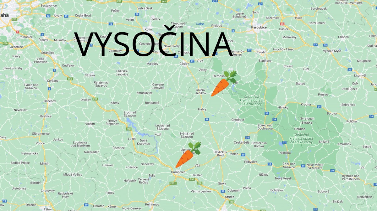 Samosběr zeleniny 2024
