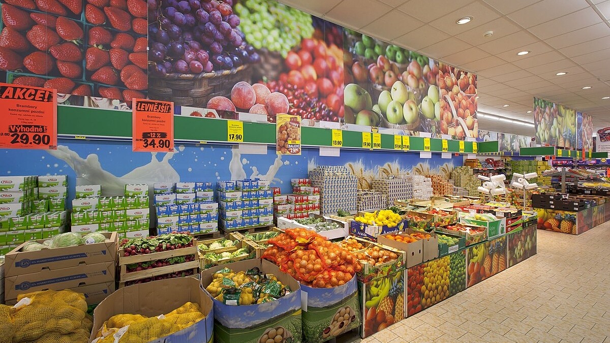 Samosběr zeleniny 2024