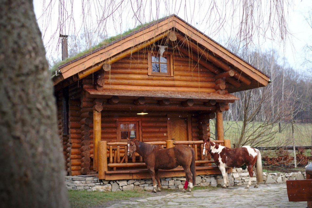 Dřevěné chaty celoroční
