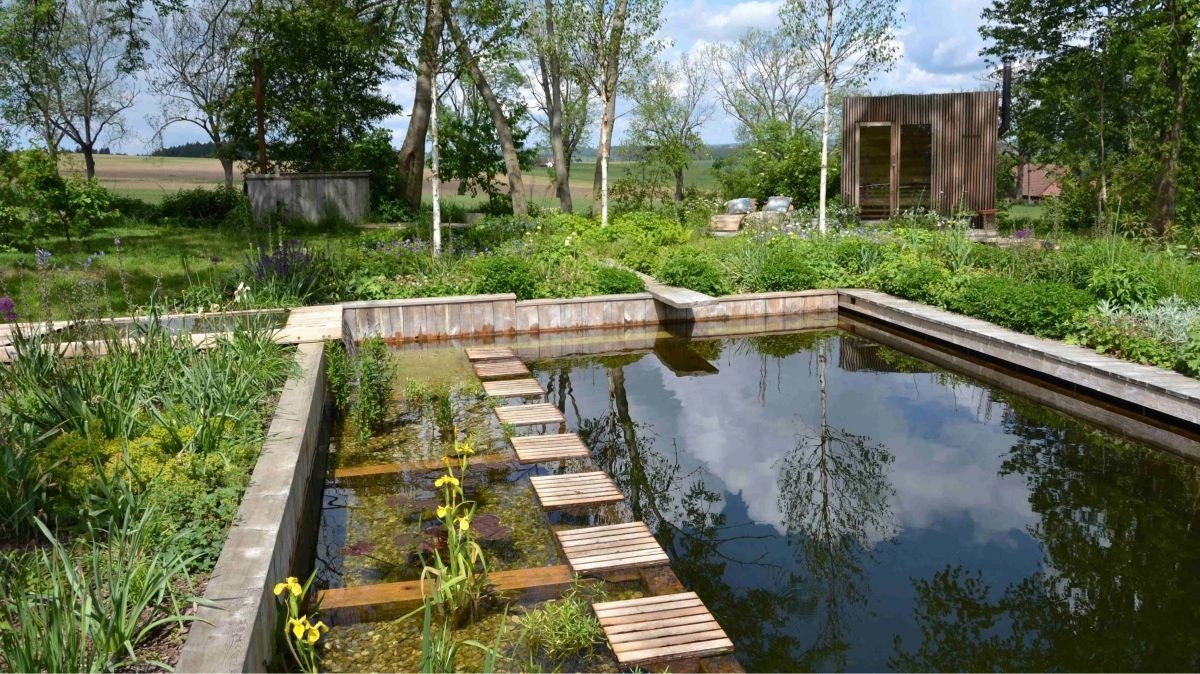 Koupací bazén vs. koupací jezírko