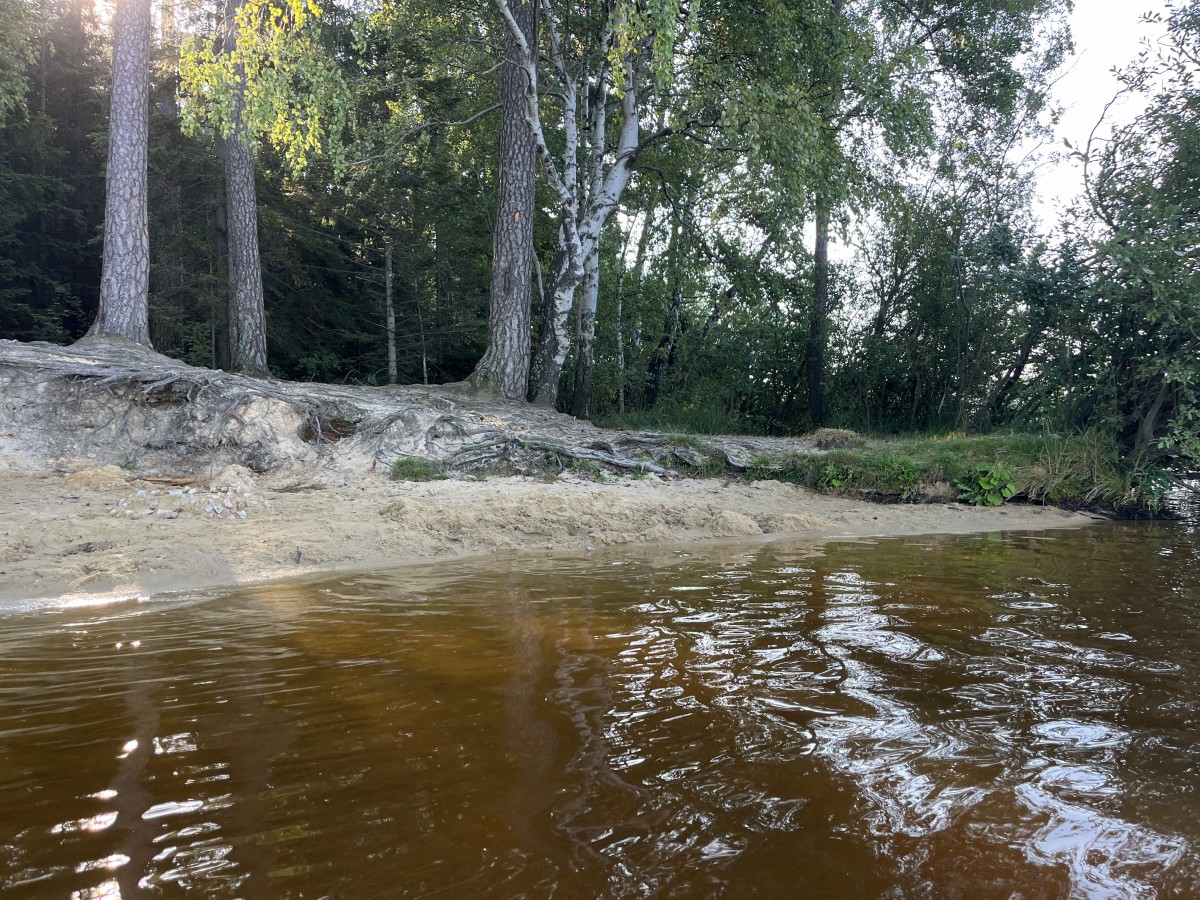 Koupání Vysočina
