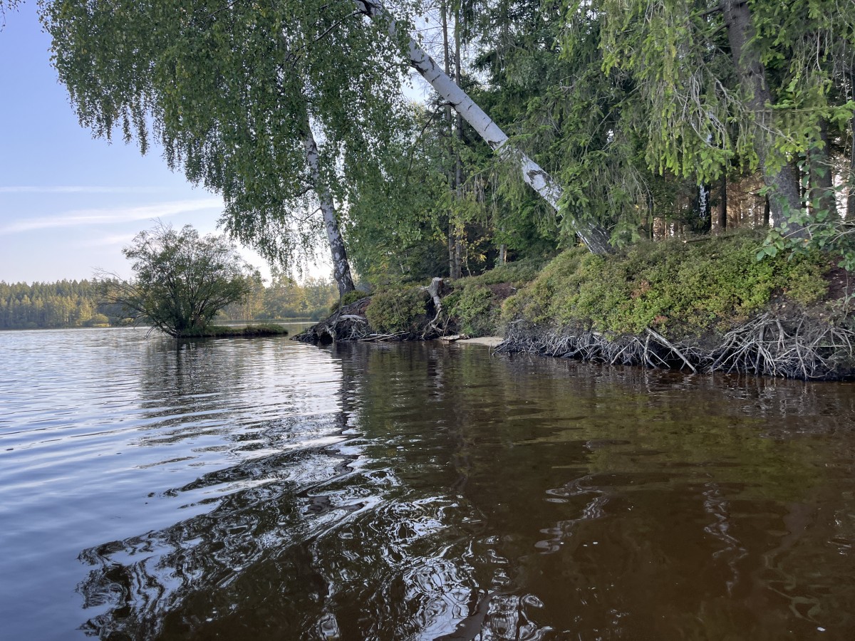 Koupání Vysočina