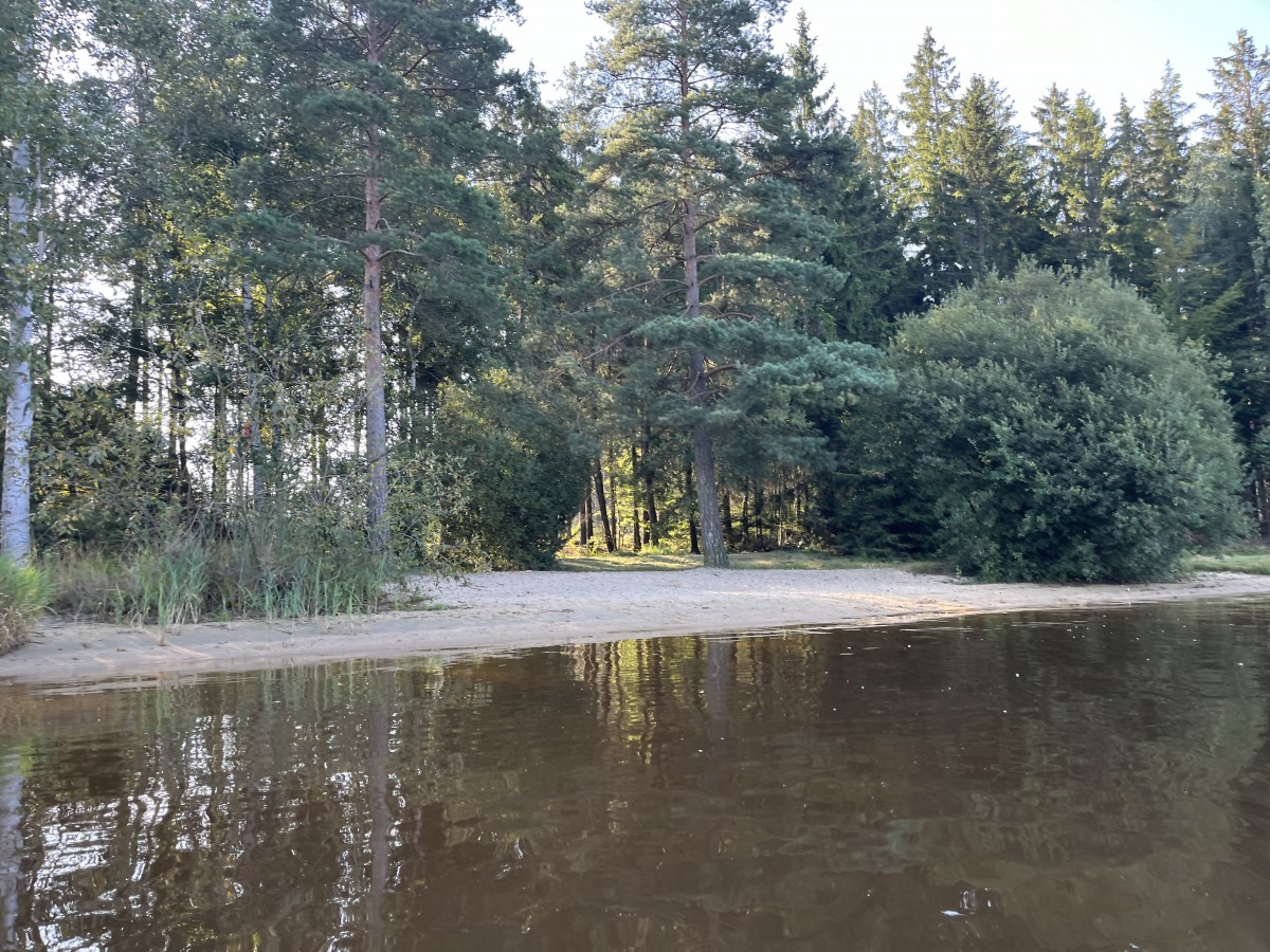 Koupání Vysočina