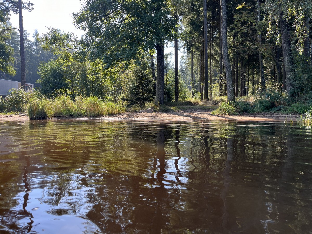 Koupání Vysočina