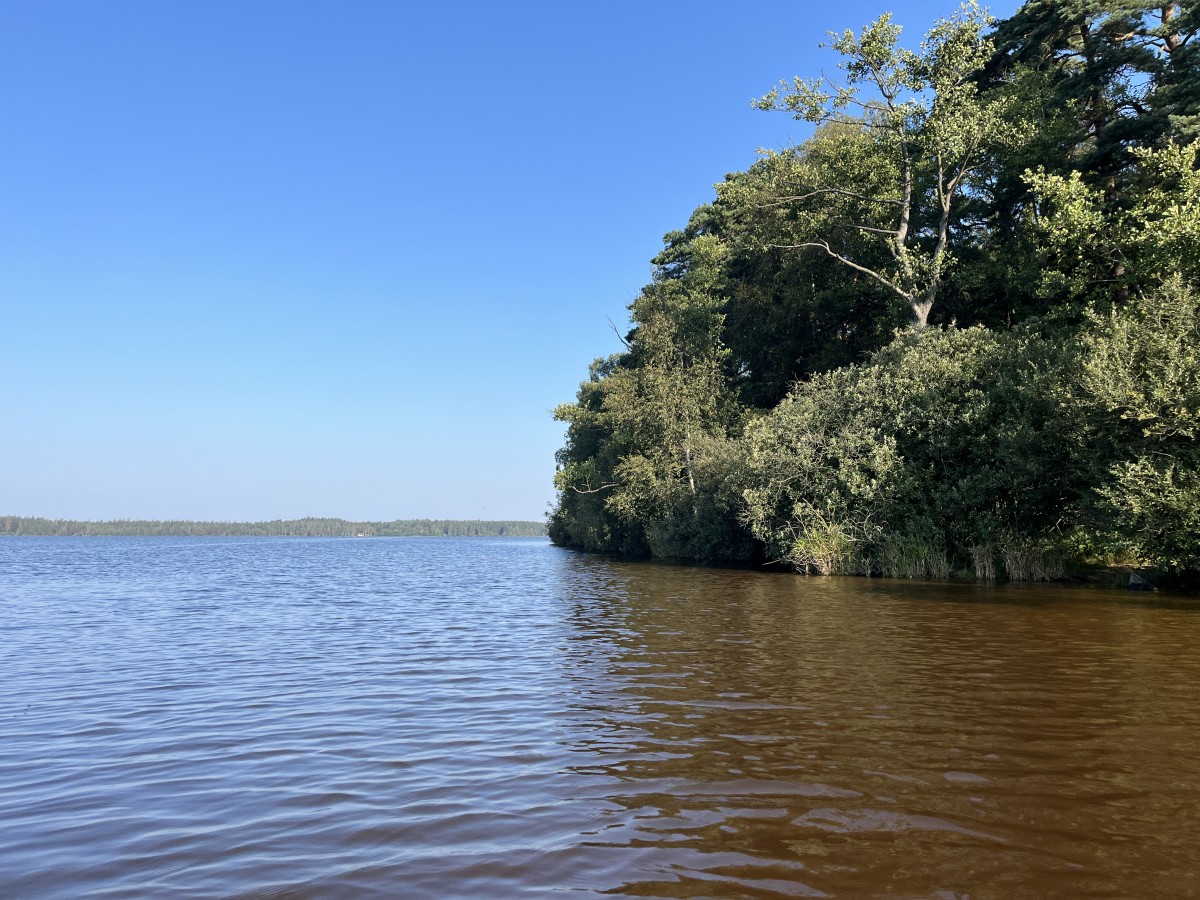 Koupání Vysočina