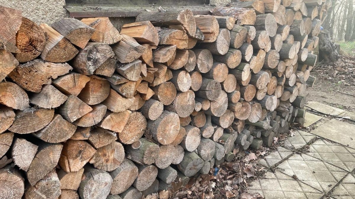 Zákaz spalování dřeva u nás