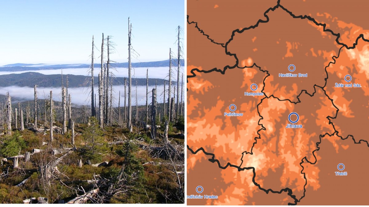 Kde je nejpokročilejší vývoj třetí generace kůrovce?