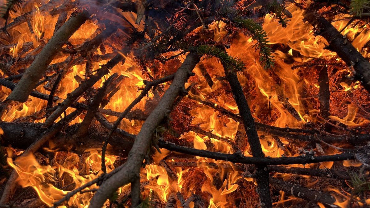 Roste obliba topidel se stáložárem