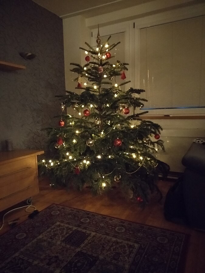 Kdo nosí dětem dárky na Vánoce?
