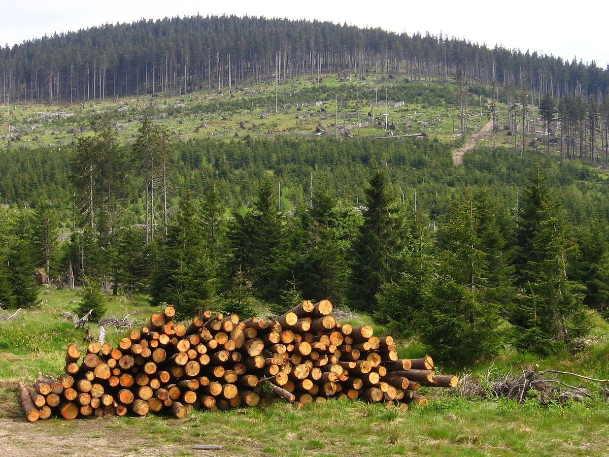 Klimatická změna