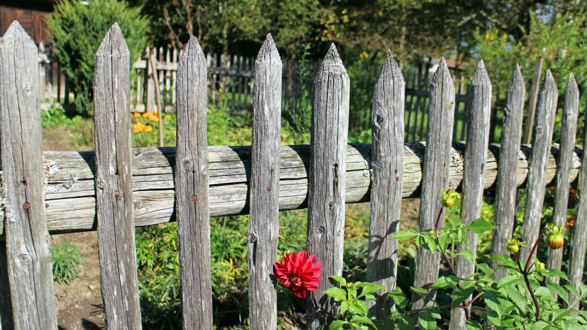 Ultrazvukové plašiče zvěře dokážou rozpoutat sousedskou válku