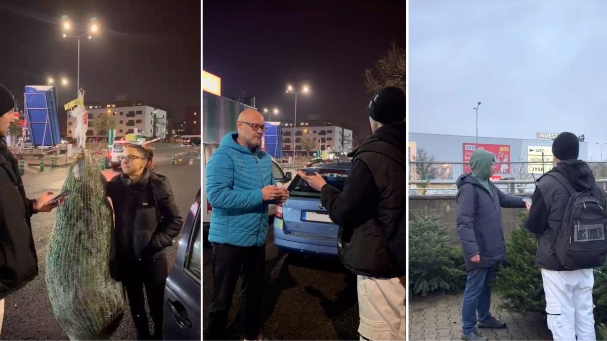 Cena vánočního stromku