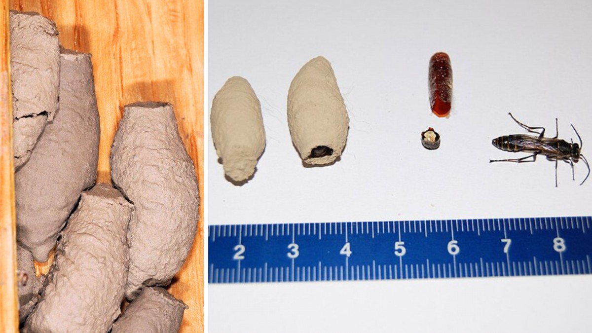 Jste si jistí, že kutilka neřádí také u vás doma?