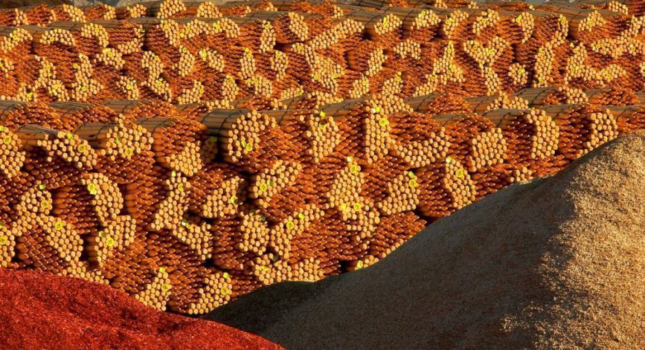 Palivové dřevo: výhřevnost a cena