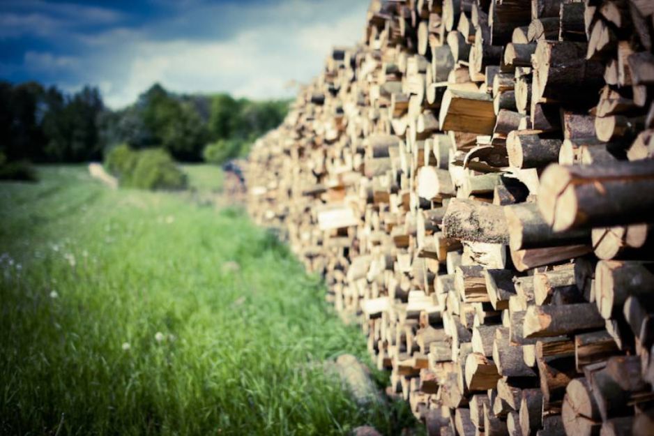 Palivové dřevo: výhřevnost a cena