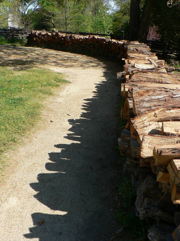 Palivové dřevo: výhřevnost a cena