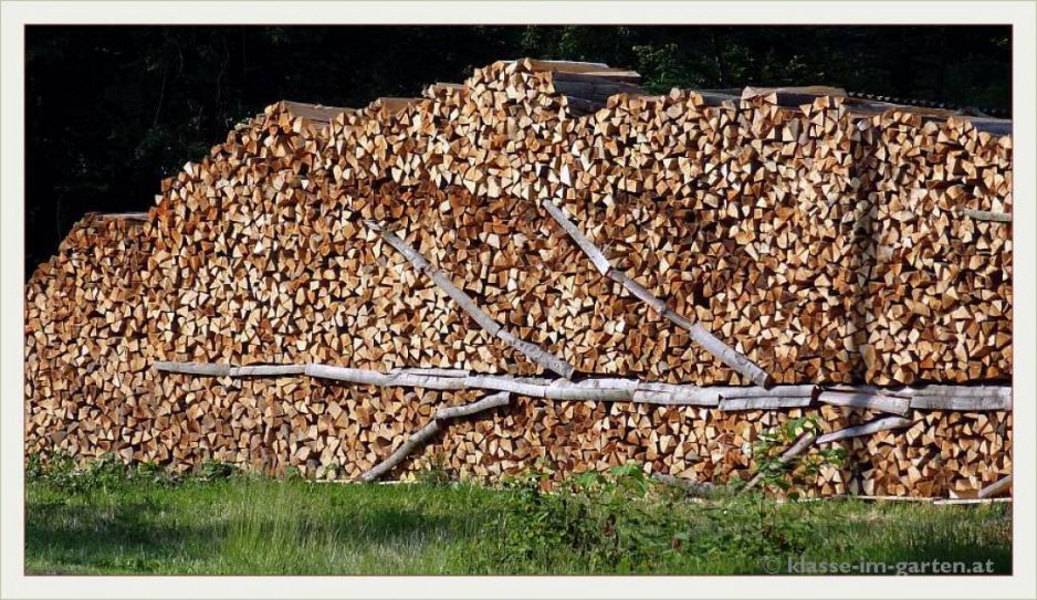 Palivové dřevo: výhřevnost a cena