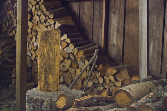 Palivové dřevo: výhřevnost a cena