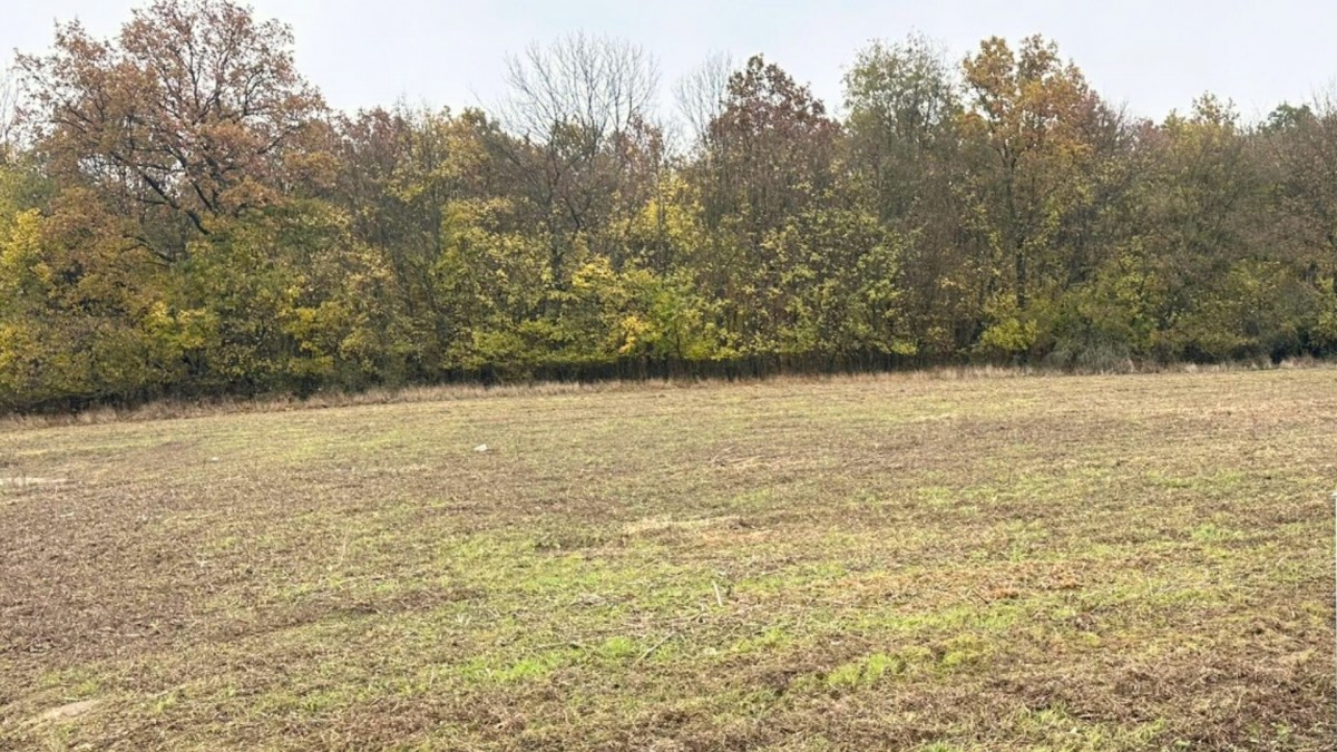 Manželé koupili pozemek za nezvykle dobrou cenu. Brzy zjistili, proč byl tak levný
