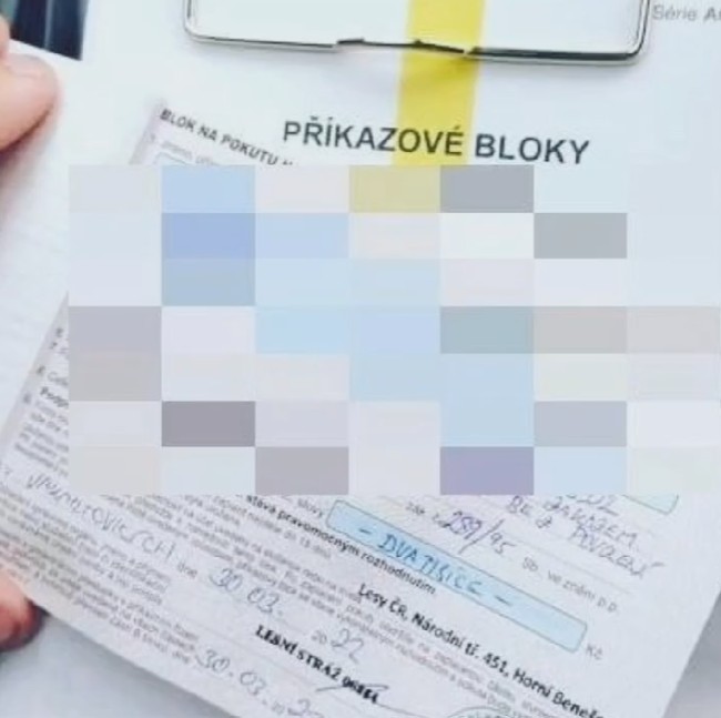 Pytláctví