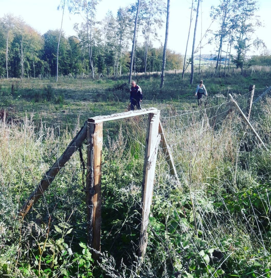 Pytláctví