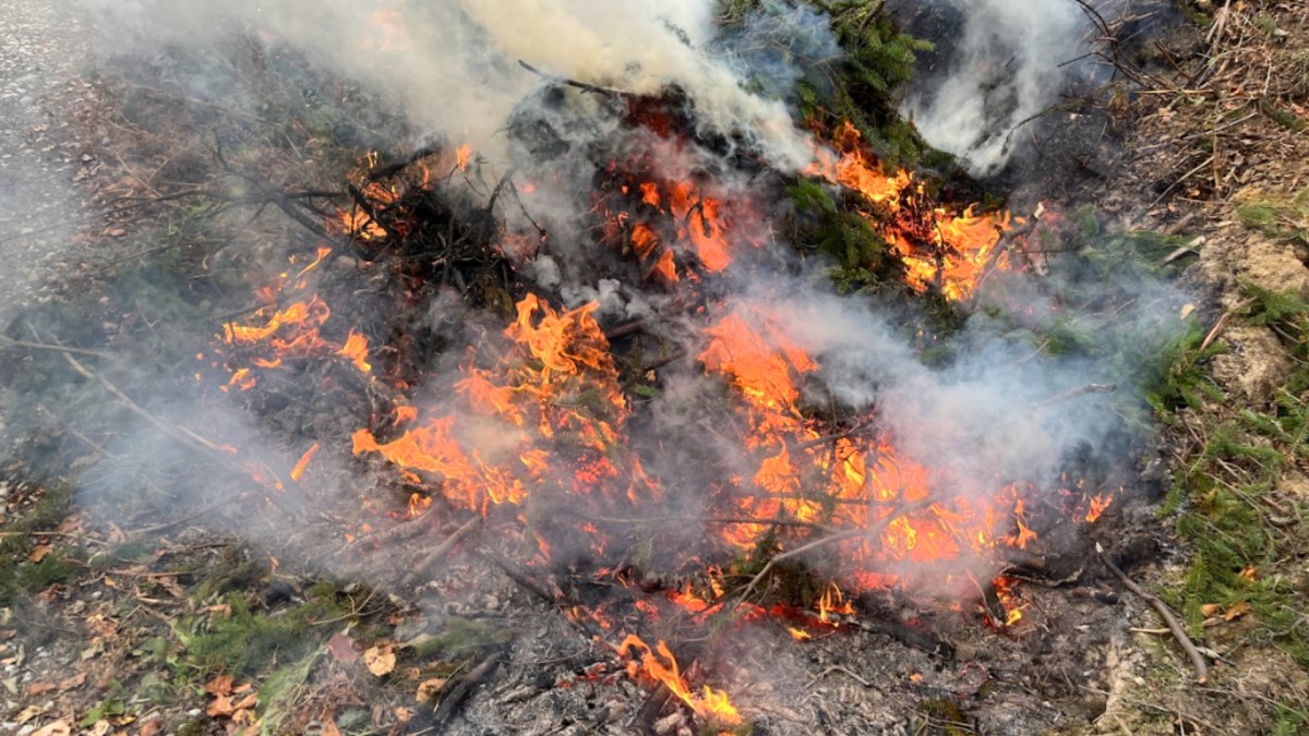 Co s listím a trávou, když je zakázáno je pálit?