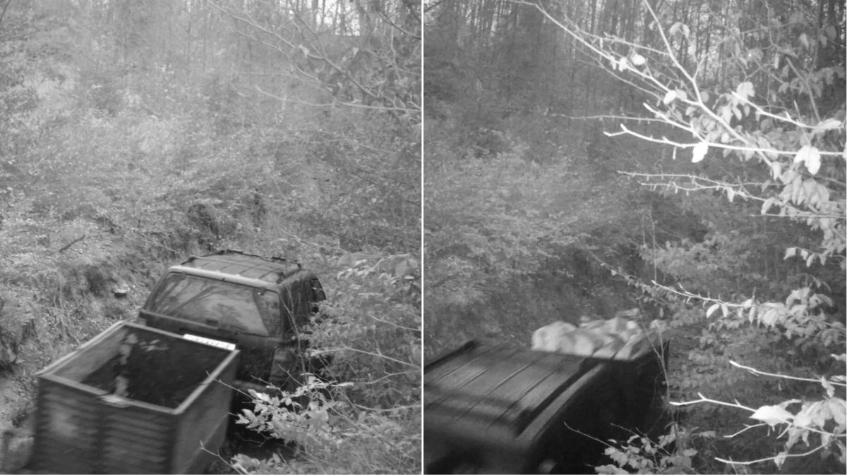 Lesní stráž rozhovor