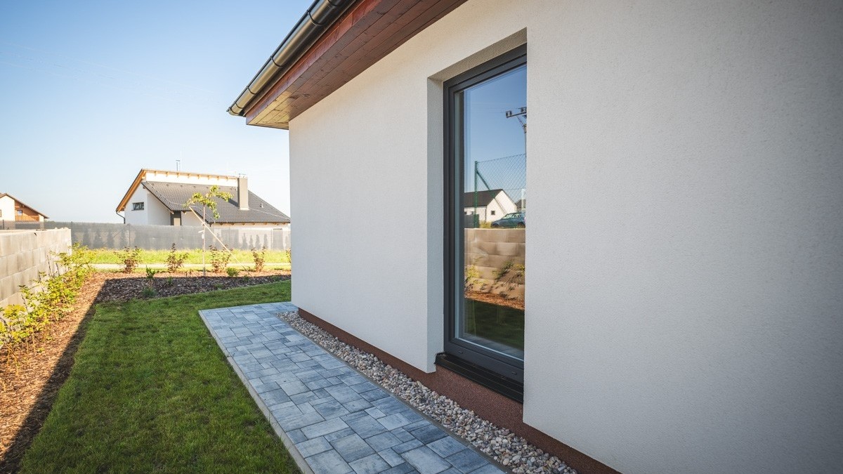 Co vysázet k plotu?