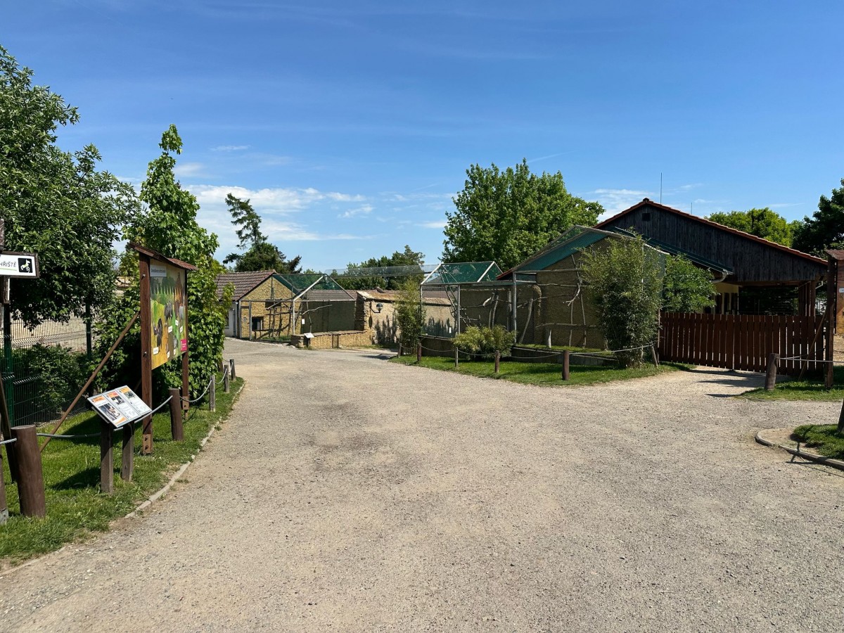 ZOO pro děti