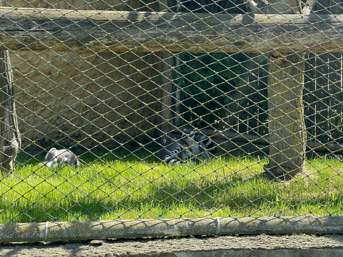 ZOO pro děti