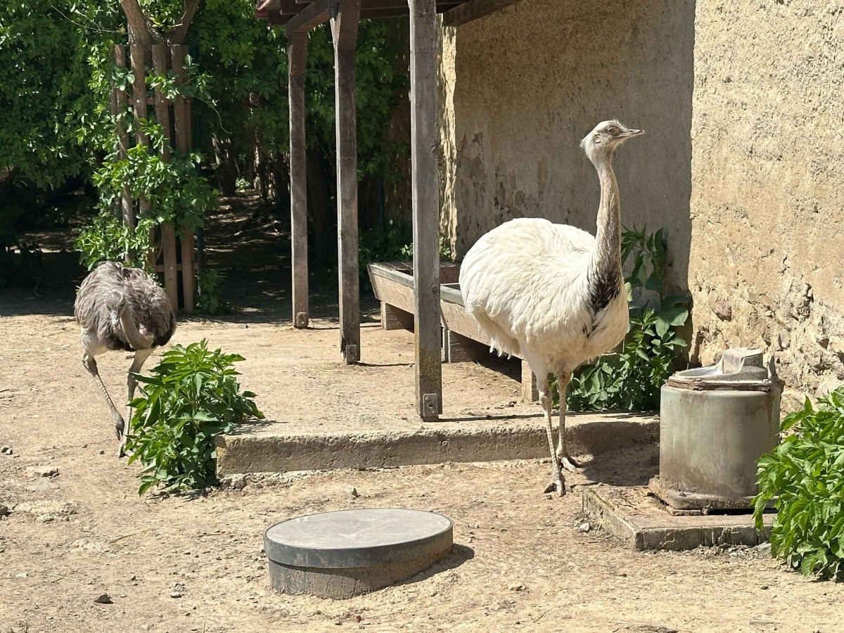 ZOO pro děti
