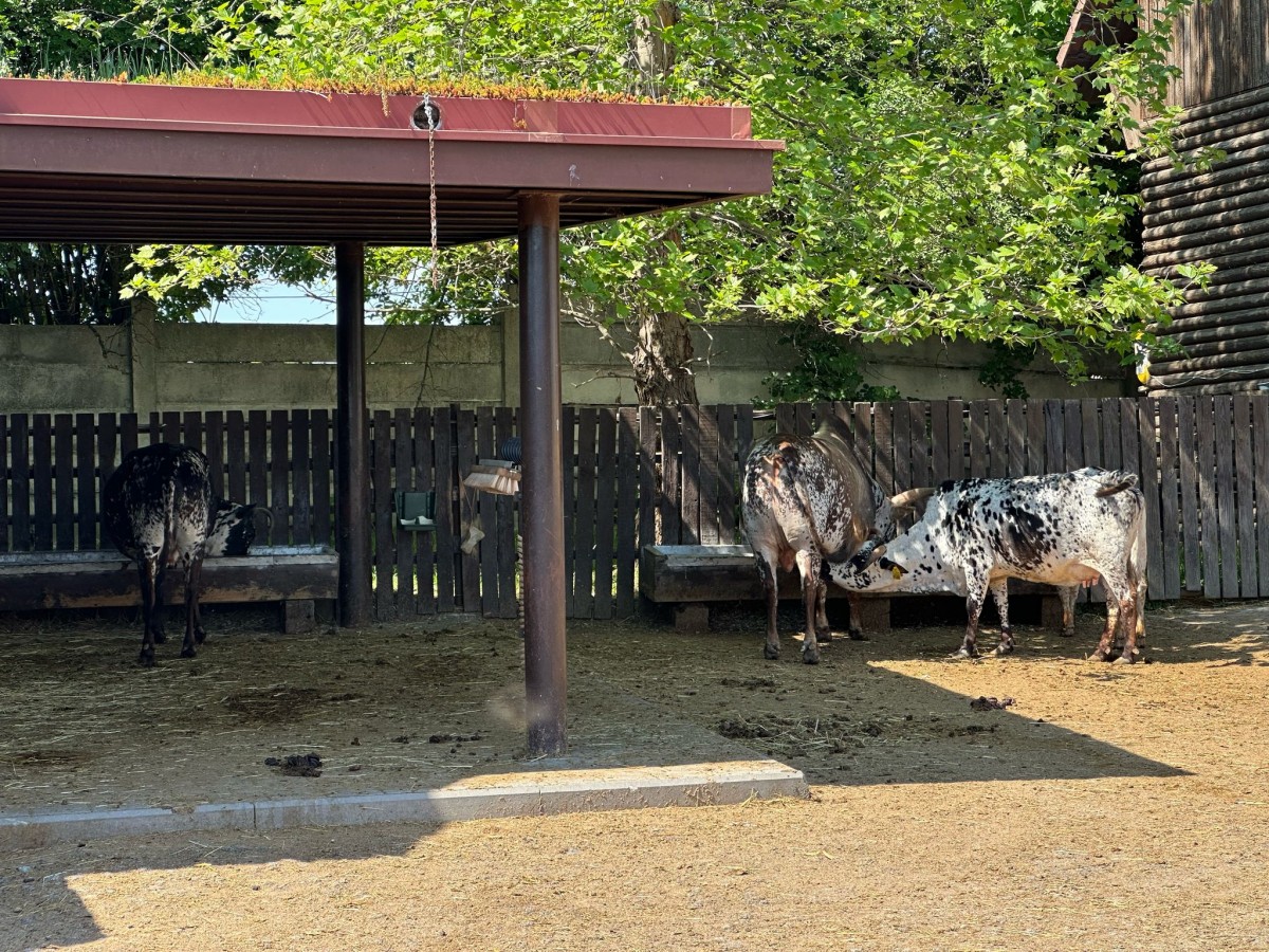 ZOO pro děti