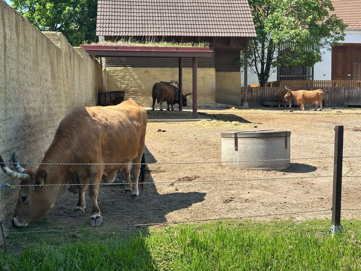 ZOO pro děti