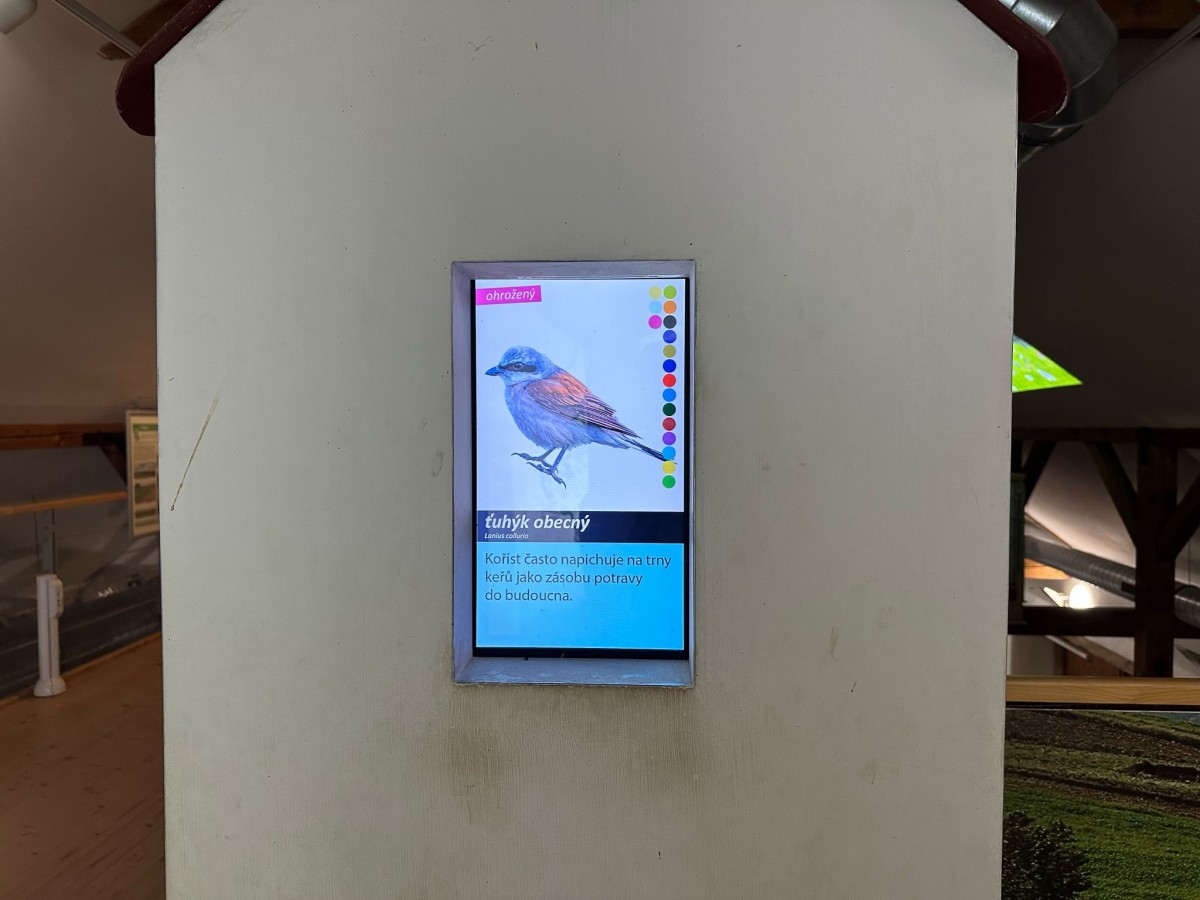 ZOO pro děti